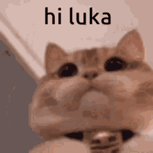 Hi Luka GIF - Hi Luka GIFs
