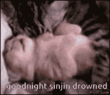 goodnight goodnight sinjin drowned sinjin drowning sinjin drowned