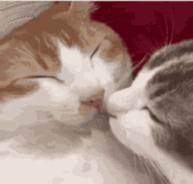 kiss-cute.gif