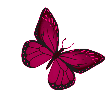 Butterfly Freedom Sticker - Butterfly Freedom Pretty Stickers