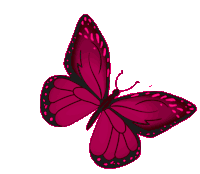 Butterfly Freedom Sticker - Butterfly Freedom Pretty Stickers