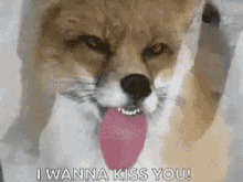 Jerk What Does The Fox Say GIF - Jerk What Does The Fox Say Tongue GIFs