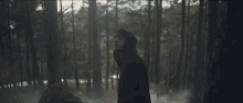 Wandering Lost GIF - Wandering Lost Forest GIFs