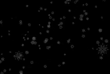 Snow Blowing Flakes GIF - Snow Blowing Snow Flakes GIFs