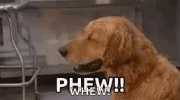 denzel phew gif denzel phew gif