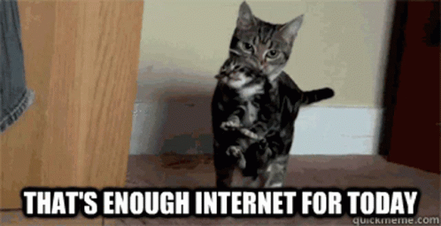 thats-enough-internet-for-today-cat.gif