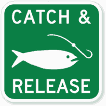 Catch And Release Fishing GIF - Catch And Release Fishing Hook GIFs