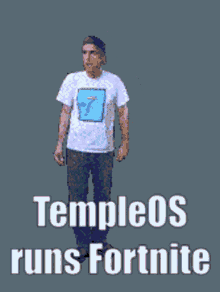 Templeos Operating System GIF - Templeos Operating System Fortnite GIFs