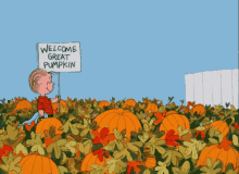 Charlie Brown GIF - Charlie Brown The Great Pumpkin Halloween GIFs