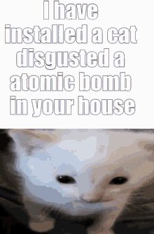 Cat Meme GIF - Cat Meme Bomb GIFs