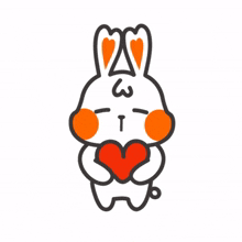 white rabbit orange heart loving