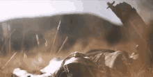 stargazing smoking wasted lay down hammered stargazing smoking wasted lay down hammered