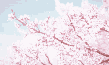 Cherry Blossom Anime GIF - Cherry Blossom Anime Petals GIFs