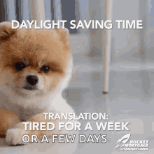 Daylight Saving Time Nap GIF - Daylight Saving Time Nap Tired For A Week GIFs