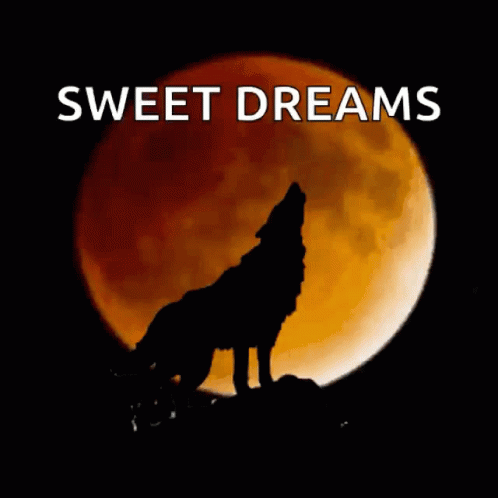 Sweet Dreams Wolves GIF - Sweet Dreams Wolves Full Moon - Discover & Share  GIFs