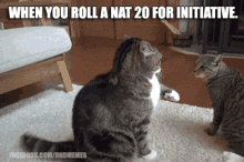 Cats Funny Animals GIF - Cats Funny Animals When You Roll A Nat GIFs