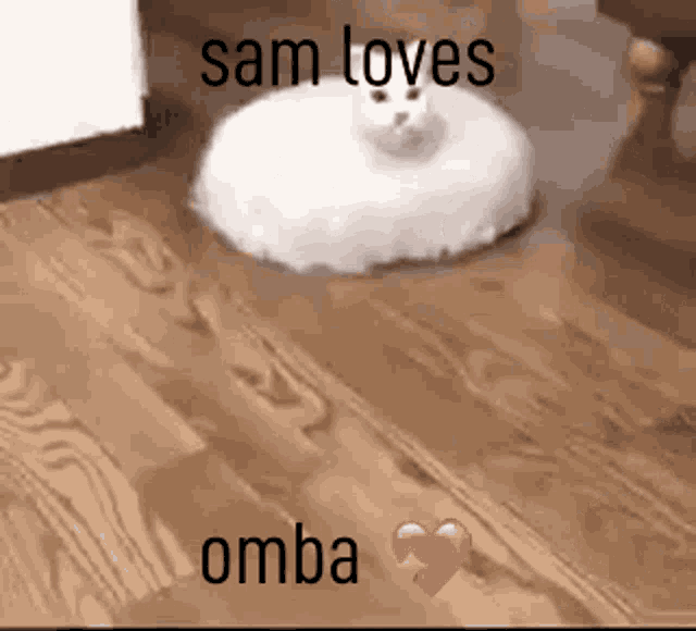 Sam Loves Omba GIF - Sam Loves Omba Omba GIFs