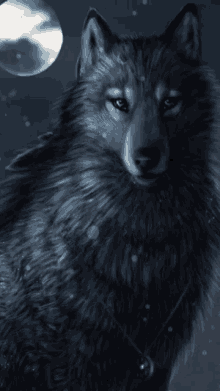 Wolf GIF - Wolf GIFs