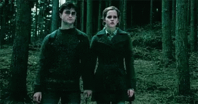 apparition-harry-potter.gif