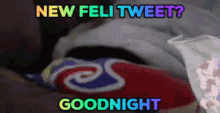 Goodnight Newfelitweet GIF - Goodnight Newfelitweet Feli GIFs