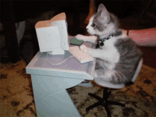 Work Cat GIF - Work Cat Typing GIFs