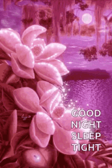 sleep goodnight nite plant pink sleep goodnight nite plant pink