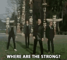 Where Strong GIF - Where Strong Looking For GIFs