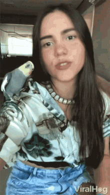 Smiling Cute GIF - Smiling Cute Parrot GIFs