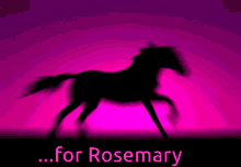 Black Stallion Pink For Rosemary GIF - Black Stallion Pink For Rosemary GIFs