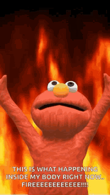 Hell Flame GIF - Hell Flame Elmo GIFs