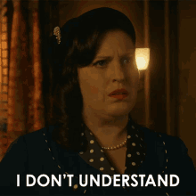 I Dont Understand Alma Fillcot GIF - I Dont Understand Alma Fillcot Allison Tolman GIFs