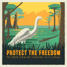Vrl Protect The Freedom To Vote How We Choose In Florida GIF - Vrl Protect The Freedom To Vote How We Choose In Florida Florida GIFs
