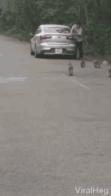 Monkey Out Of Trunk Escape GIF - Monkey Out Of Trunk Escape Run Away GIFs