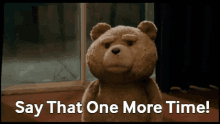Ted Teddy Bear GIF - Ted Teddy Bear Say That Again GIFs