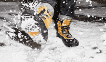 Snowshoe GIF - Snowshoe Snow Shoe GIFs