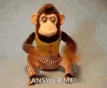 Answer Me Monkey GIF - Answer Me Monkey Cymbal GIFs