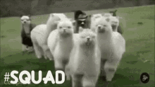 Victory Royale GIF - Victory Royale Squad GIFs