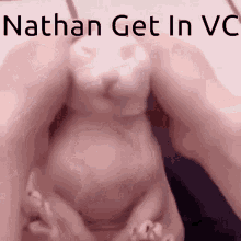 Nathan Vc Bingus GIF - Nathan Vc Nathan Bingus GIFs