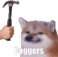 Doge Pogger Sticker - Doge Pogger Meme Stickers