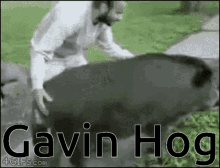 Gavin Hog Funny Names GIF - Gavin Hog Funny Names GIFs