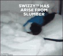 Swizzy GIF - Swizzy GIFs