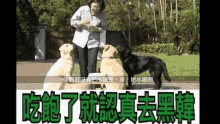 1450 Dogs GIF - 1450 Dogs GIFs