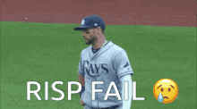 kevin kiermaier rays tampa bay rays rays risp sigh kevin kiermaier rays tampa bay rays rays risp sigh