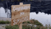 Congrats GIF - You Survived You Did It Congrats GIFs