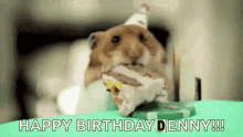 birthday denny