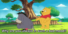The Real Questions GIF - Winnie The Pooh Eeyore Why Are You Always In Such A Bad Mood GIFs