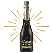 chuva de prata ano novo reveillon brinde chuva de prata ano novo reveillon brinde