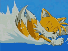 sonic fox