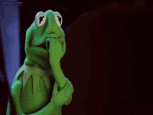 Ugly Kermit GIF - Ugly Kermit Scared GIFs