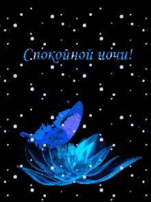 Animation Butterfly GIF - Animation Butterfly Flower GIFs